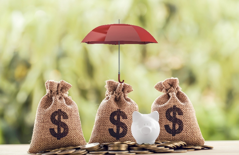 coins and US dollar bag, piggy bank under the red umbrella